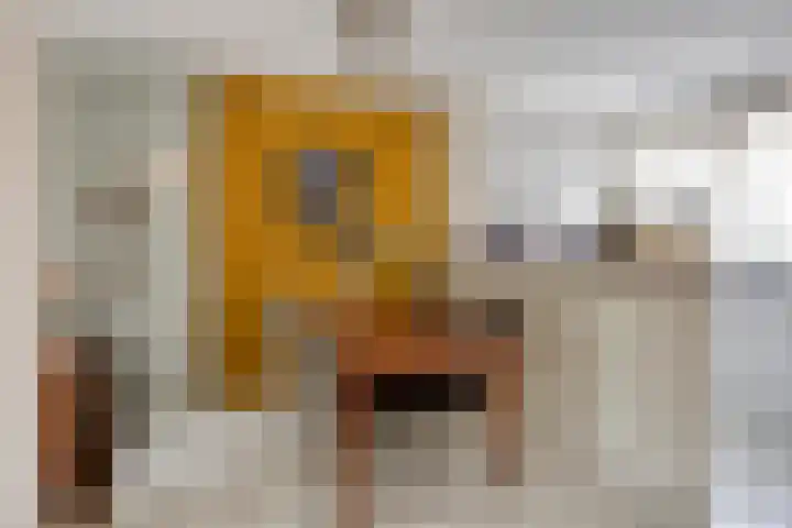 Vlasakker 3 Zoetermeer thumbnail 13