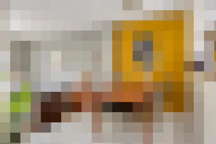 Vlasakker 3 Zoetermeer thumbnail 14
