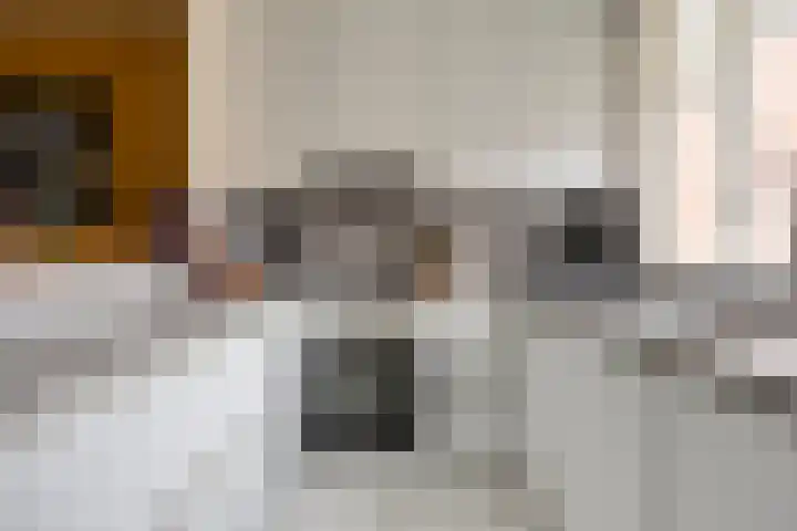 Vlasakker 3 Zoetermeer thumbnail 16