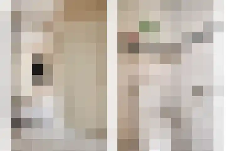 Vlasakker 3 Zoetermeer thumbnail 18