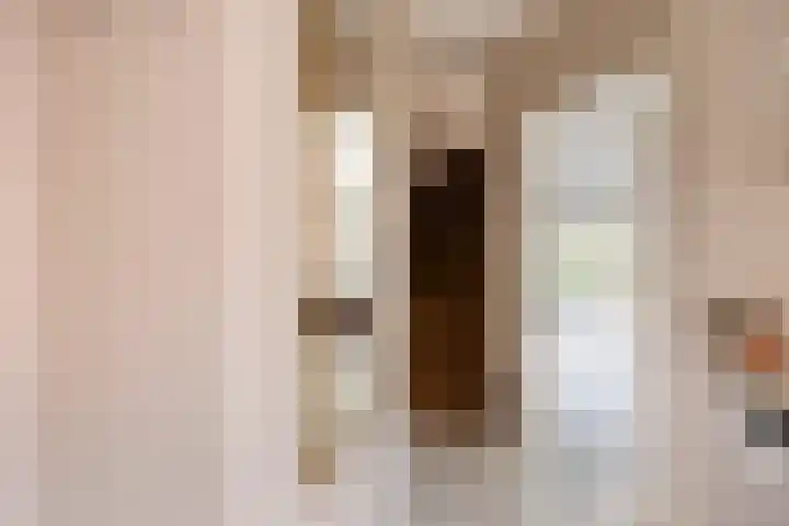 Vlasakker 3 Zoetermeer thumbnail 20