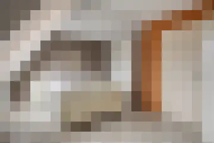 Vlasakker 3 Zoetermeer thumbnail 21