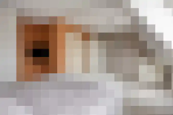 Vlasakker 3 Zoetermeer thumbnail 22