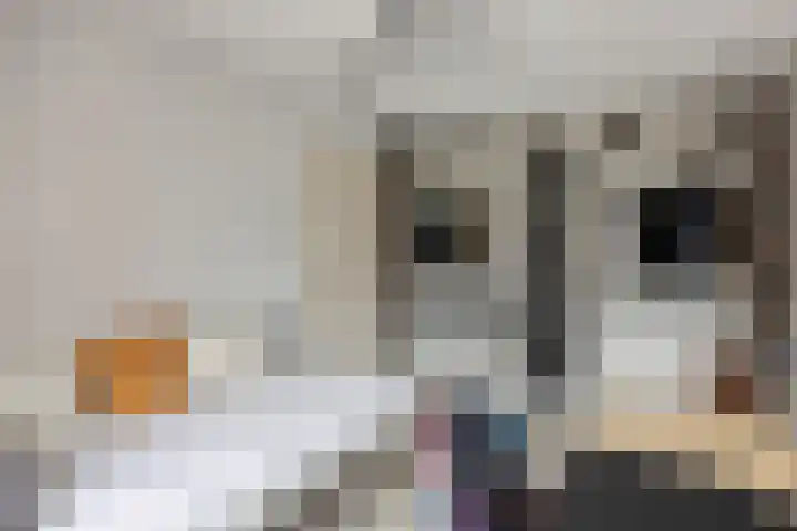 Vlasakker 3 Zoetermeer thumbnail 26
