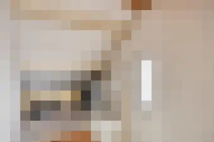 Vlasakker 3 Zoetermeer thumbnail 28