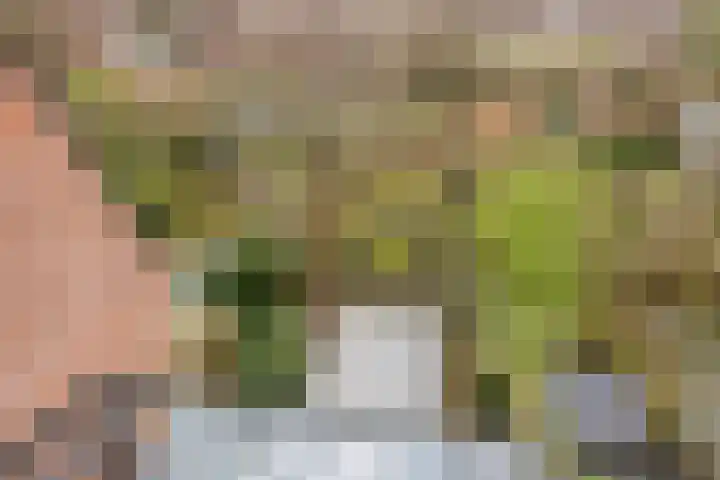 Vlasakker 3 Zoetermeer thumbnail 32