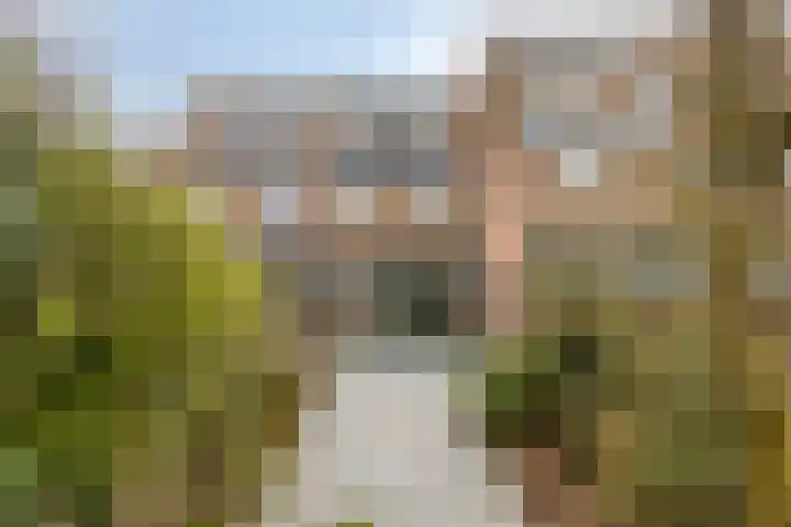 Vlasakker 3 Zoetermeer thumbnail 33
