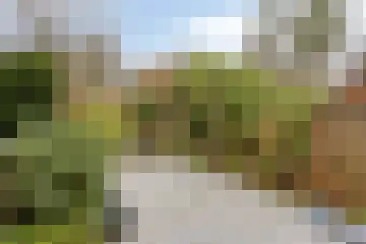 Vlasakker 3 Zoetermeer thumbnail 34