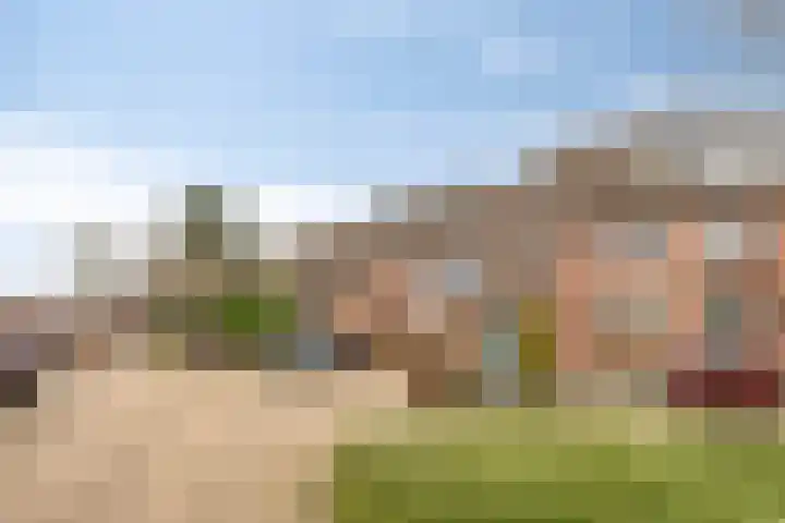 Vlasakker 3 Zoetermeer thumbnail 36