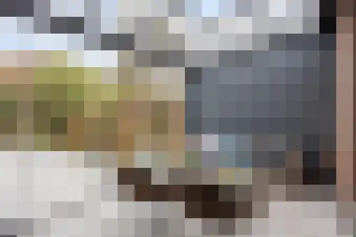 Vlasakker 3 Zoetermeer thumbnail 4