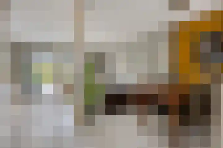 Vlasakker 3 Zoetermeer thumbnail 5