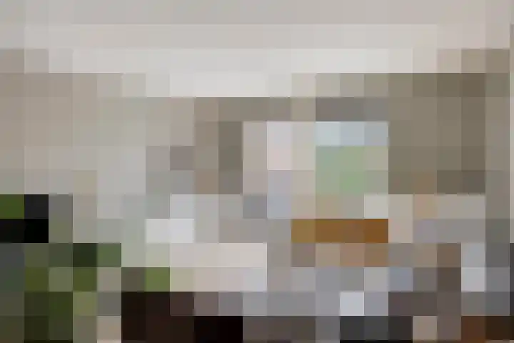 Vlasakker 3 Zoetermeer thumbnail 6