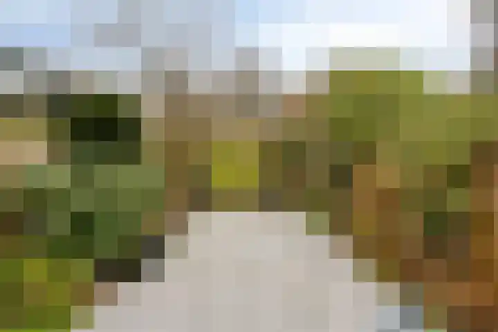 Vlasakker 3 Zoetermeer thumbnail 8