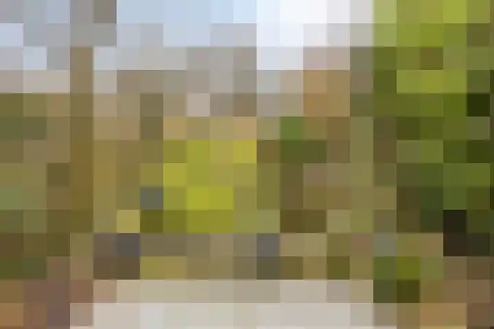 Vlasakker 3 Zoetermeer thumbnail 9