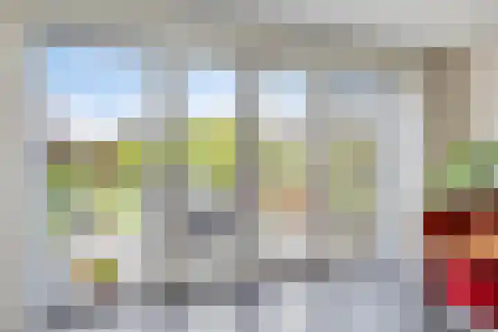 Vlasakker 32 Heino thumbnail 15