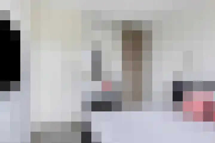 Vlasakker 32 Heino thumbnail 18