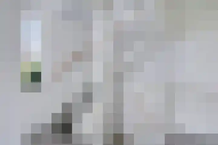 Vlasakker 32 Heino thumbnail 23