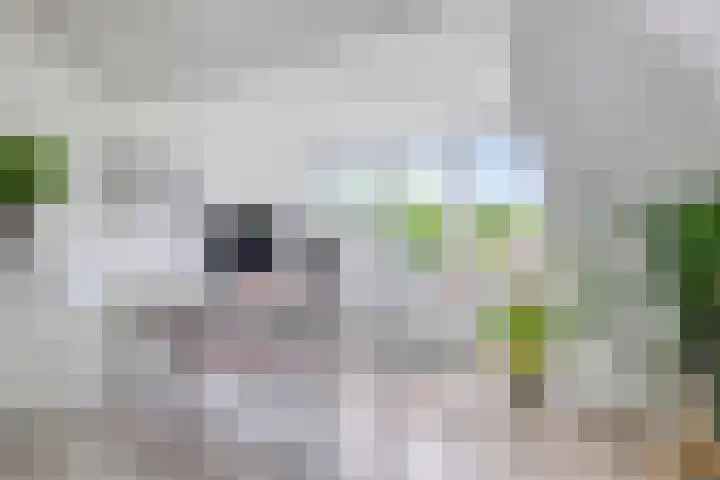 Vlasakker 32 Heino thumbnail 24