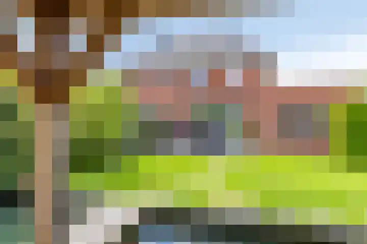 Vlasakker 32 Heino thumbnail 28