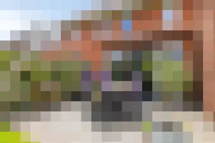 Vlasakker 32 Heino thumbnail 31