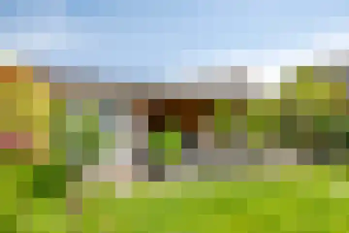 Vlasakker 32 Heino thumbnail 33