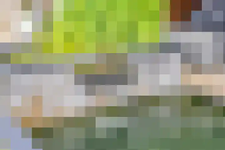 Vlasakker 32 Heino thumbnail 36