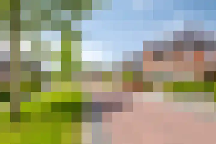 Vlasakker 32 Heino thumbnail 39