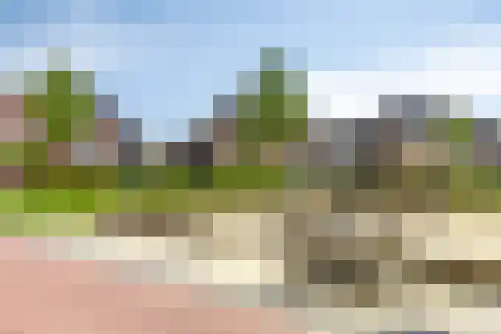 Vlasakker 32 Heino thumbnail 40