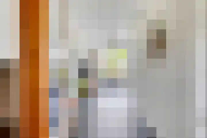 Vlasakker 32 Heino thumbnail 6
