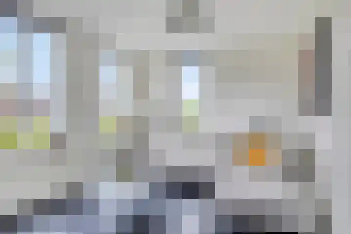 Vlasakker 32 Heino thumbnail 8