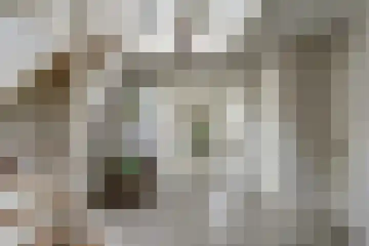 Vlasakker 4 Goudswaard thumbnail 12