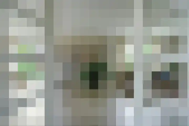 Vlasakker 4 Goudswaard thumbnail 13