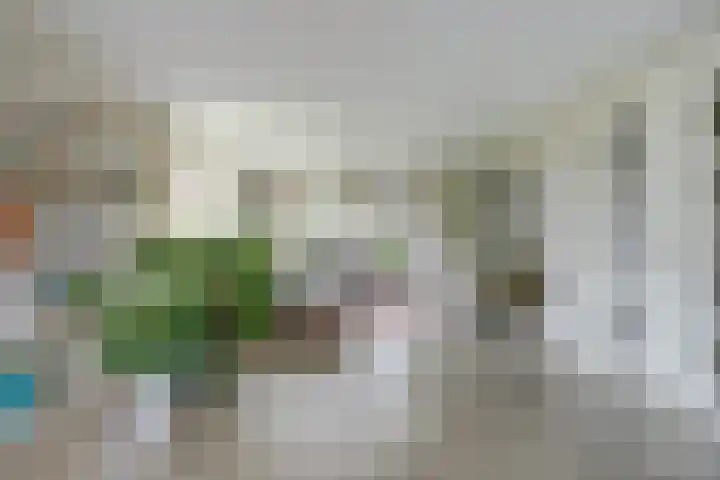 Vlasakker 4 Goudswaard thumbnail 14