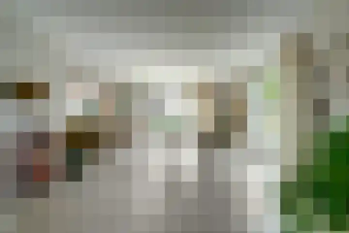 Vlasakker 4 Goudswaard thumbnail 15