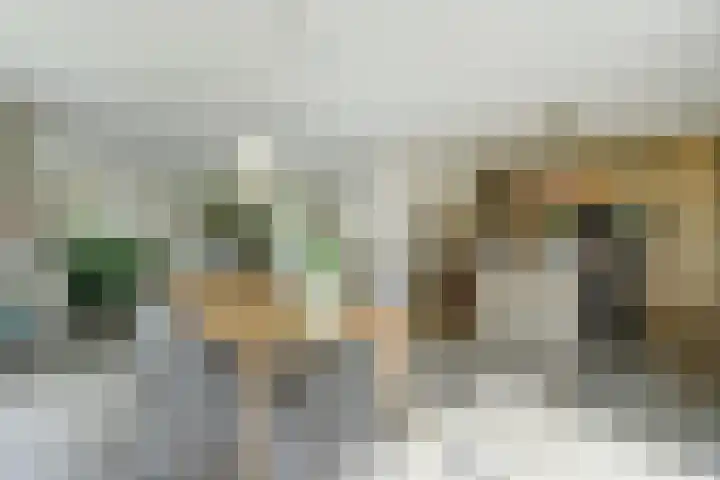 Vlasakker 4 Goudswaard thumbnail 18