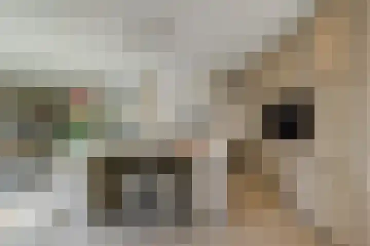 Vlasakker 4 Goudswaard thumbnail 20