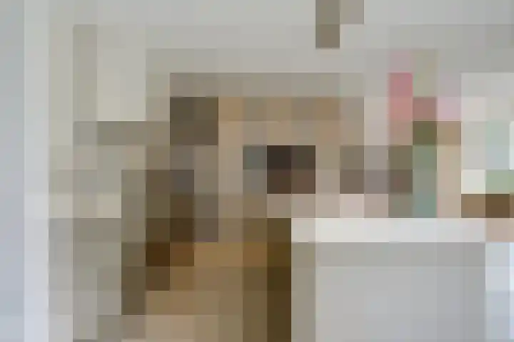 Vlasakker 4 Goudswaard thumbnail 21