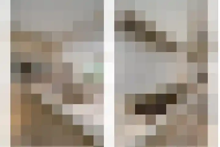 Vlasakker 4 Goudswaard thumbnail 22