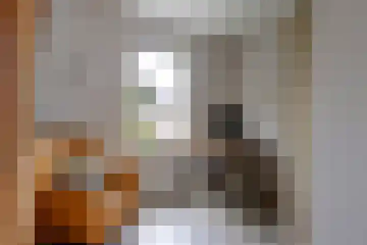Vlasakker 4 Goudswaard thumbnail 26