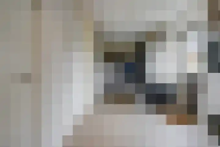 Vlasakker 4 Goudswaard thumbnail 28