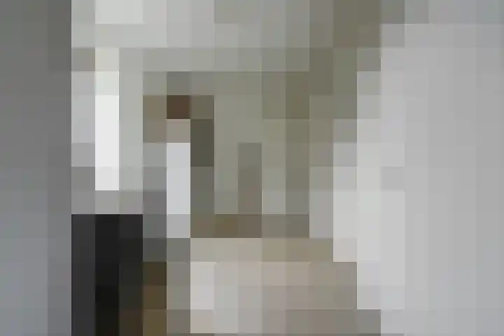 Vlasakker 4 Goudswaard thumbnail 29