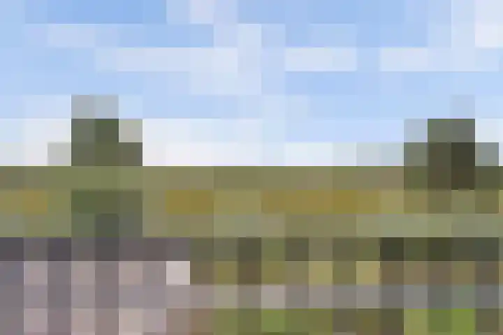 Vlasakker 4 Goudswaard thumbnail 32