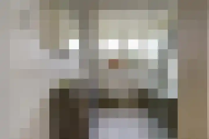 Vlasakker 4 Goudswaard thumbnail 36