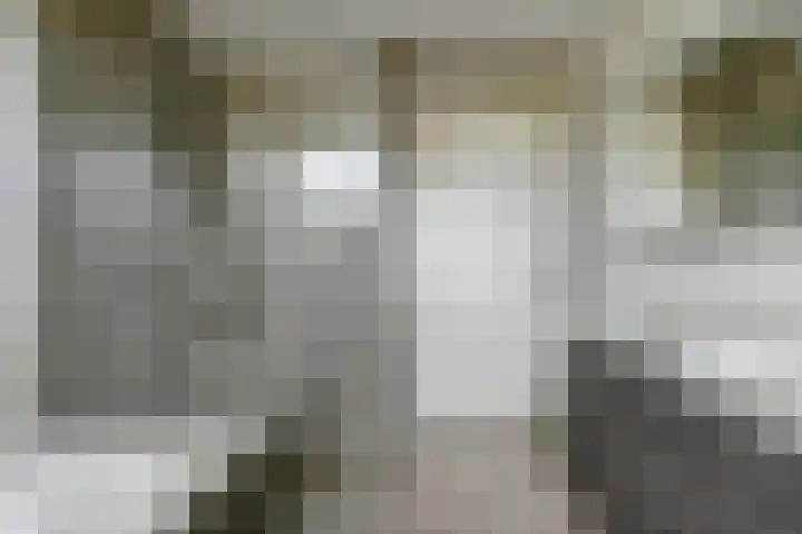 Vlasakker 4 Goudswaard thumbnail 37