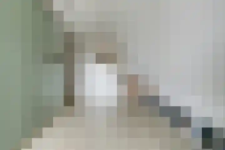 Vlasakker 4 Goudswaard thumbnail 41
