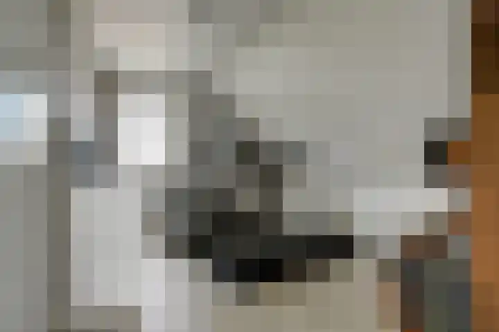 Vlasakker 4 Goudswaard thumbnail 42