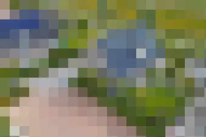 Vlasakker 4 Goudswaard thumbnail 44