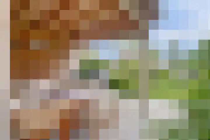 Vlasakker 4 Goudswaard thumbnail 45