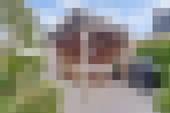 Vlasakker 4 Goudswaard thumbnail 47