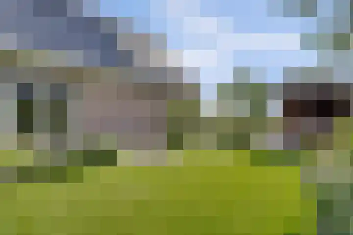 Vlasakker 4 Goudswaard thumbnail 48